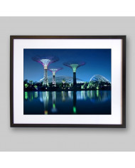 Gardens by the bay, Singapur