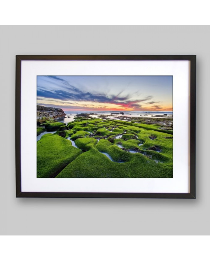 Costa de la Joya, California, USA