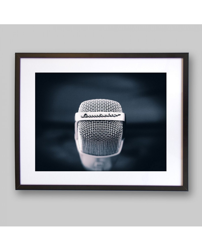 El micrófono de nuestras vidas