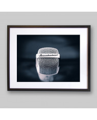 El micrófono de nuestras vidas