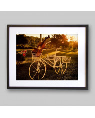 Bicicleta con violín