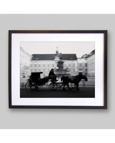 Carruaje tirado por caballos en el palacio Hofburg, Viena, Austria Carruaje tirado por caballos en el palacio Hofburg, Viena, Austria