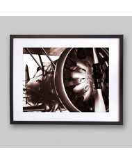 Motor y hélice de un aeroplano