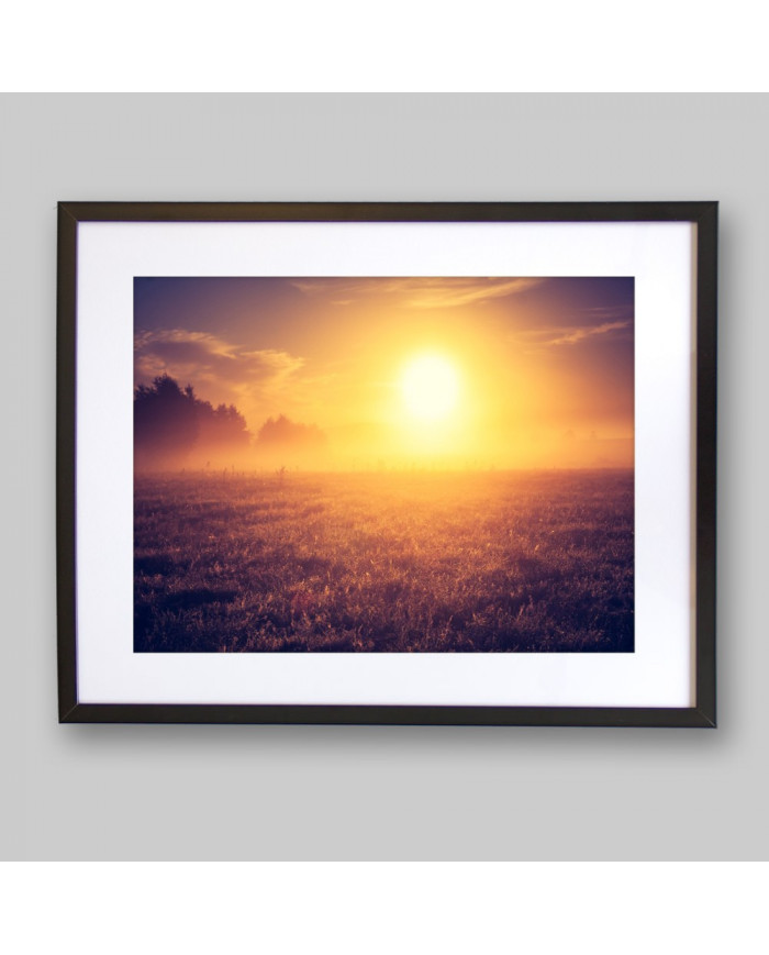 La niebla matutina en la pradera