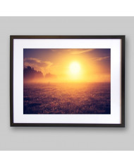 La niebla matutina en la pradera