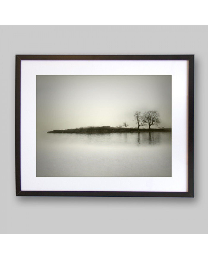 El reflejo de los árboles