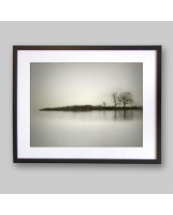 El reflejo de los árboles