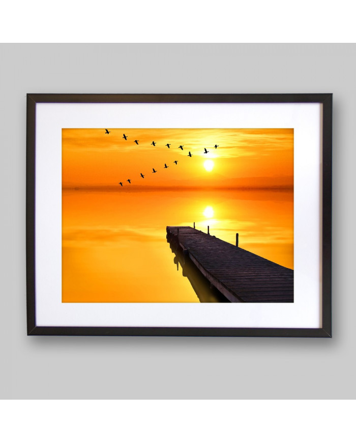 Pájaros sobre el pier