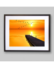 Pájaros sobre el pier