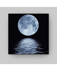 El reflejo de la luna llena