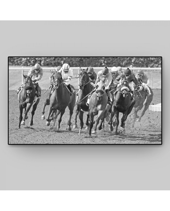 Carrera en el Hipódromo de Santa Anita de Arcadia, California, USA