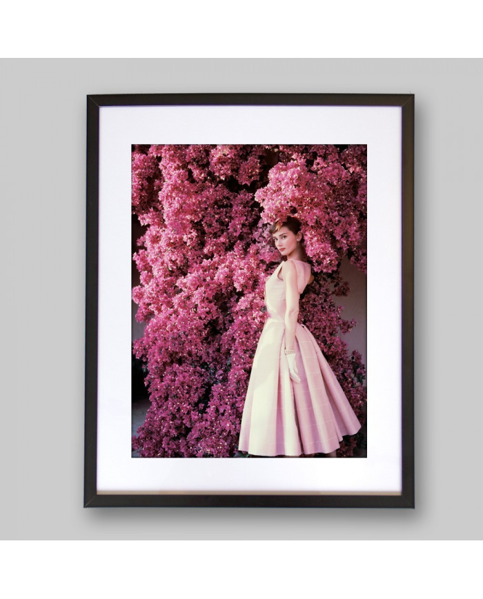 Audrey Hepburn, 1955