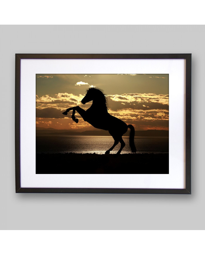 Caballo en la playa al atardecer