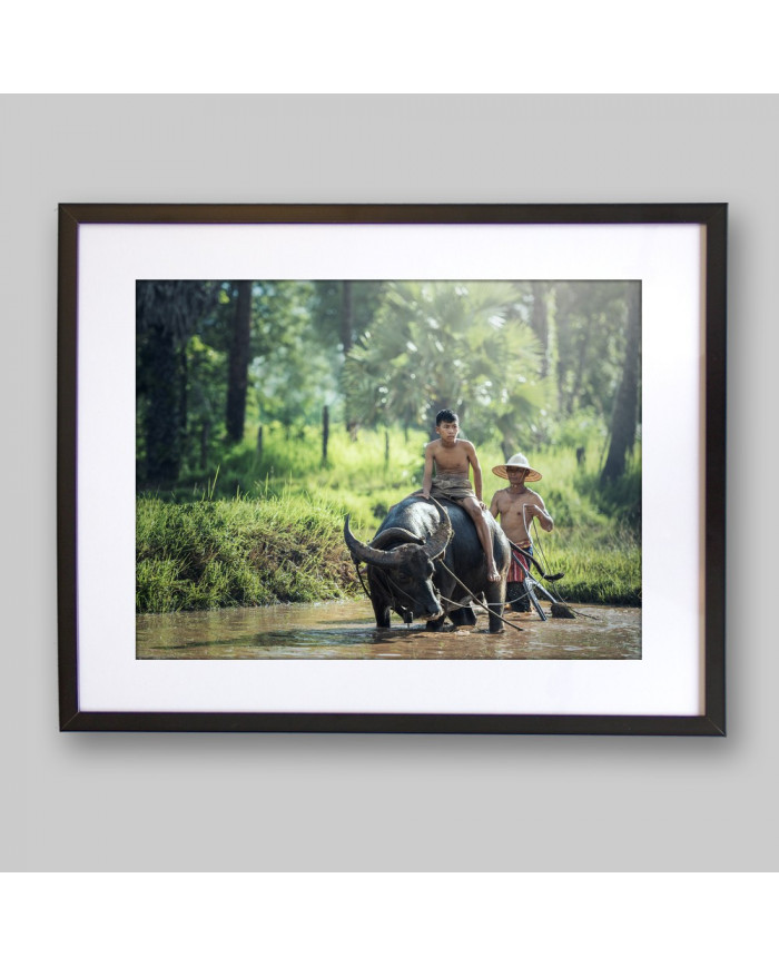 Campesino sobre búfalo, Tailandia