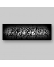 Cebras en el Parque Nacional de Etosha, Namibia