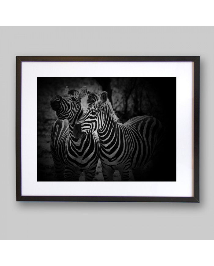 Cebras, Parque Nacional Etosha, Namibia