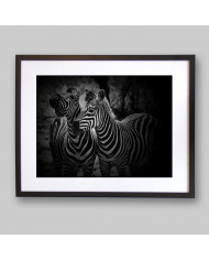 Cebras, Parque Nacional Etosha, Namibia