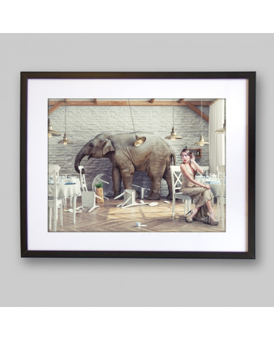 Como un elefante en una cacharrería Como un elefante en una cacharrería