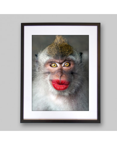 El beso del mono El beso del mono