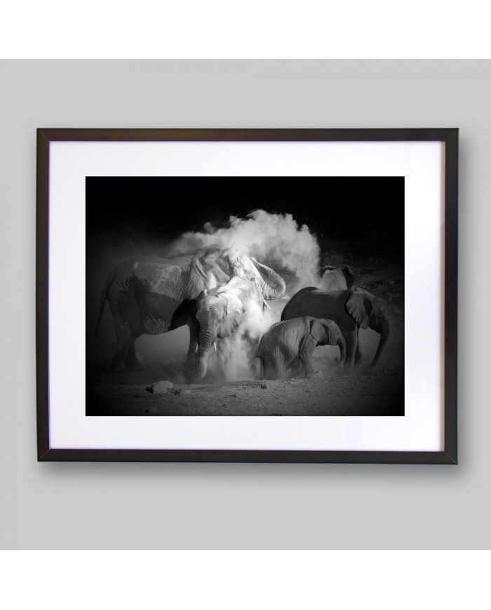 Elefantes tomando un baño de polvo, Parque Nacional Etosha, Namibia