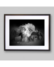 Elefantes tomando un baño de polvo, Parque Nacional Etosha, Namibia