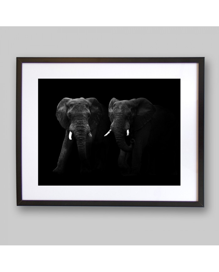 Elefantes, Parque Nacional Masai Mara, Kenia