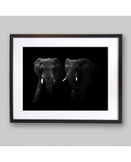 Elefantes, Parque Nacional Masai Mara, Kenia