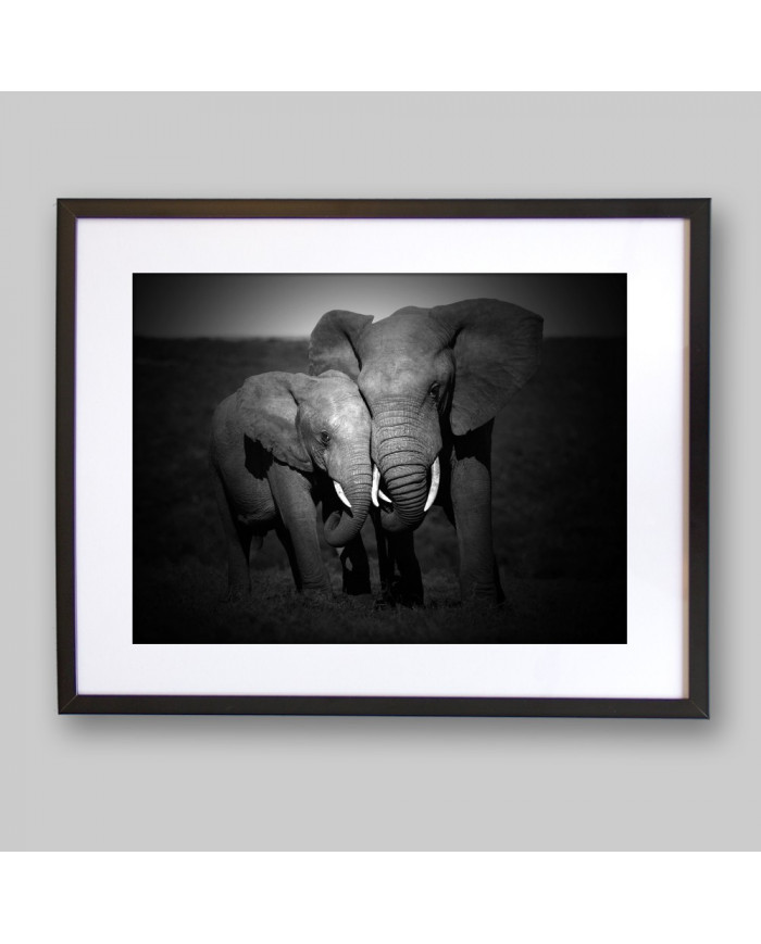 Elefantes, Parque Nacional Masai Mara, Tanzania