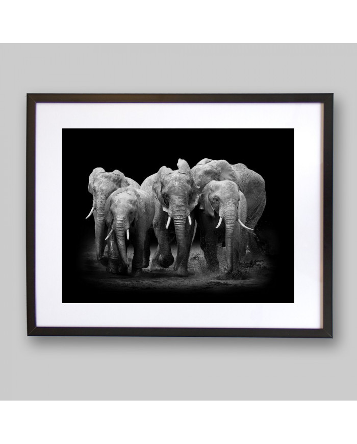 Familia de elefantes, Parque Nacional Serengueti, Tanzania