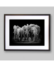 Familia de elefantes, Parque Nacional Serengueti, Tanzania