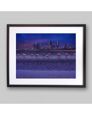 Flamencos frente al Skyline de Kuwait