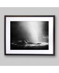 Hipopótamo, Parque Nacional Serengueti, Tanzania