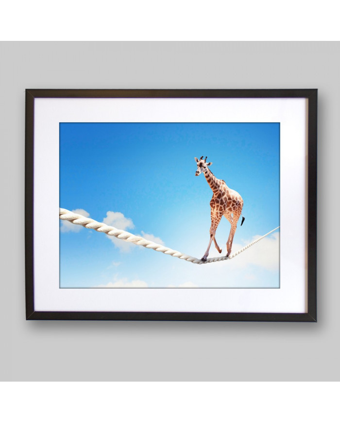 La jirafa equilibrista