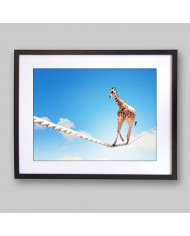 La jirafa equilibrista