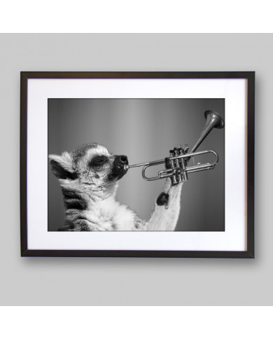 Lemur tocando la trompeta Lemur tocando la trompeta