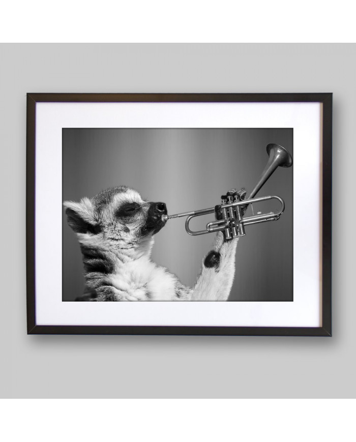 Lemur tocando la trompeta