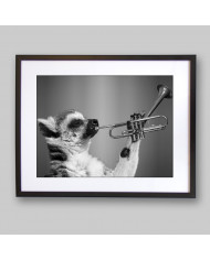 Lemur tocando la trompeta