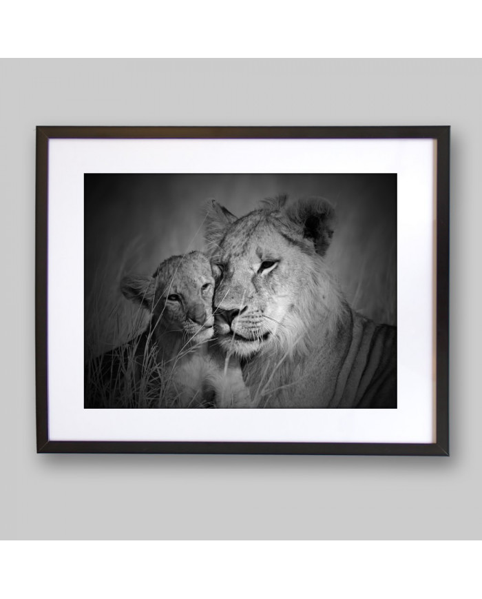 Leona con su cachorro, Parque Nacional Serengueti, Tanzania