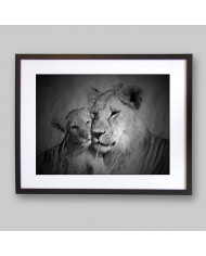 Leona con su cachorro, Parque Nacional Serengueti, Tanzania