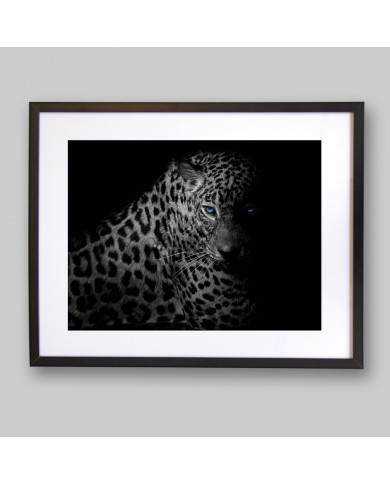 Leopardo, Parque Nacional Serengueti, Tanzania Leopardo, Parque Nacional Serengueti, Tanzania