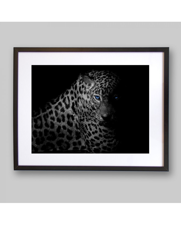 Leopardo, Parque Nacional Serengueti, Tanzania