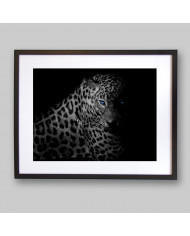 Leopardo, Parque Nacional Serengueti, Tanzania