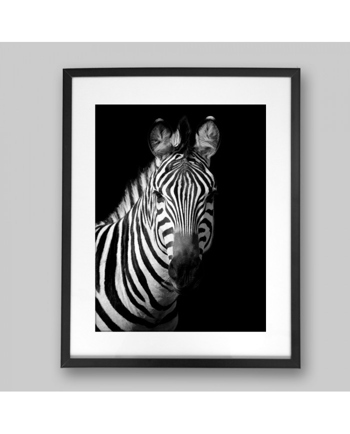 Retrato de una cebra, Parque Nacional Serengueti, Tanzania