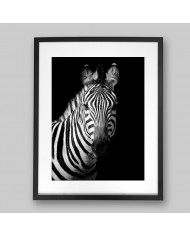 Retrato de una cebra, Parque Nacional Serengueti, Tanzania