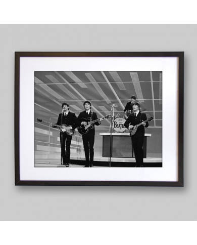 The Beatles The Beatles