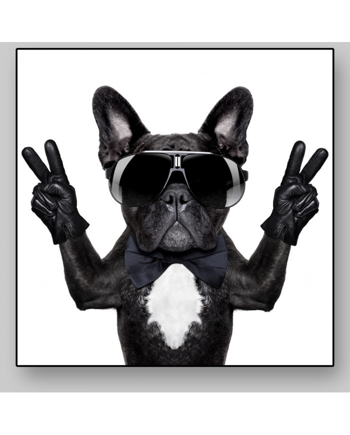 Victoria del buldog francés