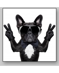 Victoria del buldog francés