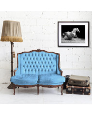 Caballo blanco cabalgando