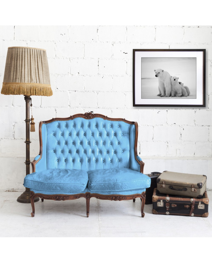 Osos polares, Canadá