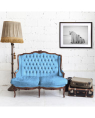 Osos polares, Canadá